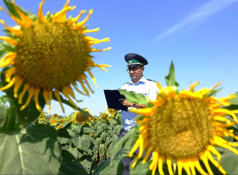 Поздравление специалистов в сфере фитосанитарии